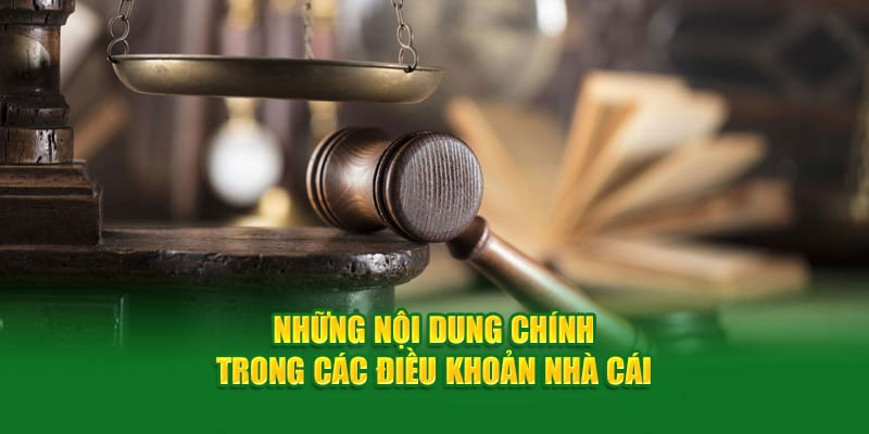 Điều khoản và điều kiện 5699 về giao dịch