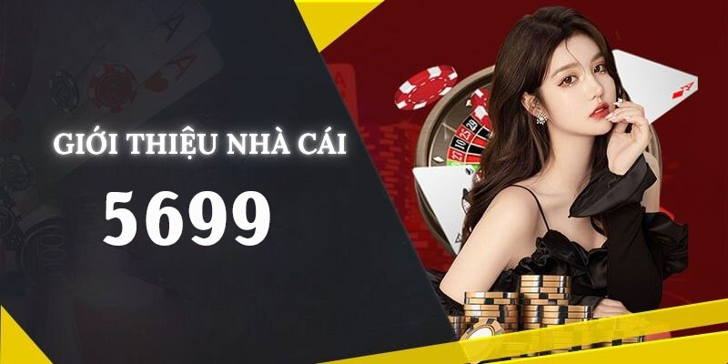 Giới thiệu 5699 với những ưu điểm nổi bật