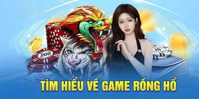 Những lưu ý khi chơi game rồng hổ