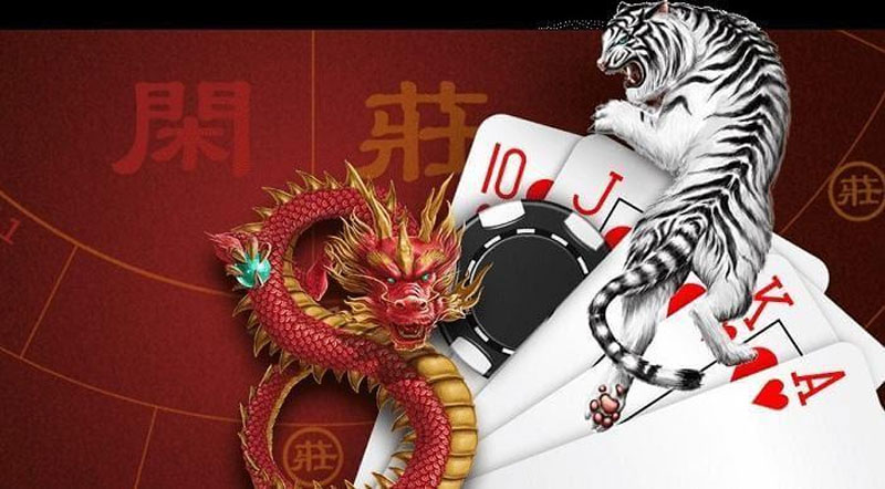 Rồng hổ là gì?